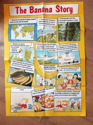Photo of free Poster-The Banana Story for classroom or food bank (New Catton NR3)
