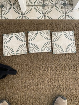 Photo of free matte finish porcelain 8"x8" tiles (NE Denver)