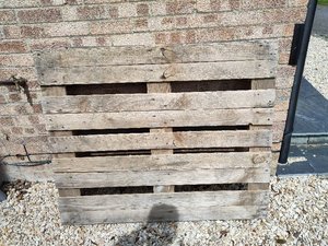 Photo of free Wooden Pallet (Northcourt OX14)