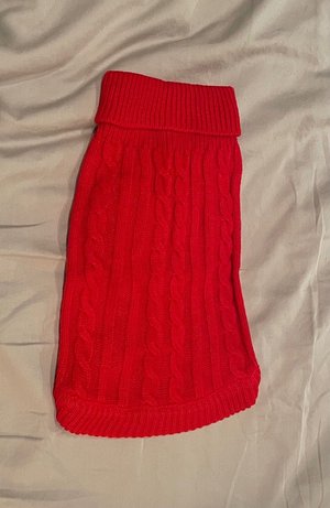Photo of free Red doggie sweater (S) (Rogers Rd and Keele St)