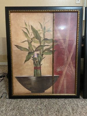 Photo of free Framed Art - Bamboo Plants (Kissimmee (Lakeside))