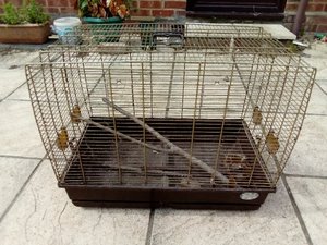 Photo of free Bird cage (Taverham NR8)