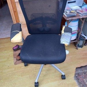 Photo of free Haworth chair, Inverbervie (DD10 Inverbervie)
