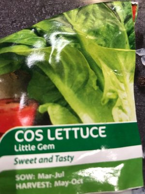 Photo of free Half pack seeds Spinach Cos Lettuce (Near St Endas park)