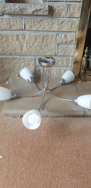 Photo of free Ceiling light 1 (Bents Green S11)