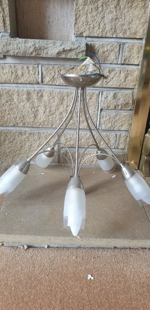 Photo of free Ceiling light 2 (Bents Green S11)