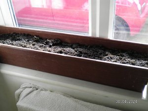 Photo of window box for planting seeds (New Costessey NR5)