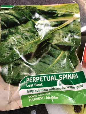 Photo of free Half pack seeds Spinach Cos Lettuce (Near St Endas park)