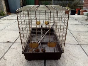 Photo of free Bird cage (Taverham NR8)