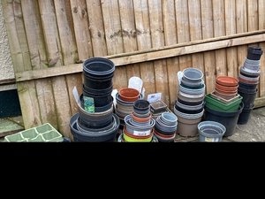 Photo of free Garden pots (Stanford-Le-Hope SS17)