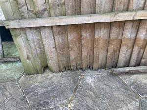 Photo of free 8x5’ fence panel (Stanford-Le-Hope SS17)