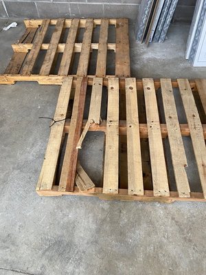Photo of free Pallet (30th and Downing)