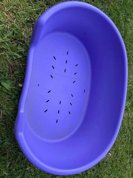 Photo of free Cat/small dog bed (Cockerham LA2) #1