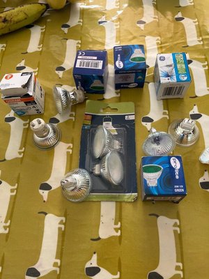 Photo of free Various bulbs (KT13)