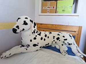 Photo of free Large stuffed toy dog (Oakley HP18)