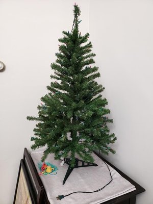 Photo of free 4 ft Christmas tree (Petworth)