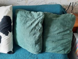 Photo of free Pillows with green pillowcases (Birds Marsh View, SN15)