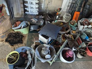 Photo of free garden items galore (Downtown Downers Grove)