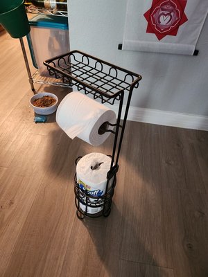 Photo of free Toilet paper holder/stand (Near USF)