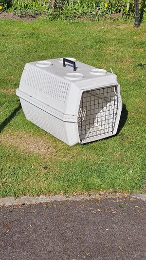 Photo of free Large Pet Carrier (Leslie KY6)