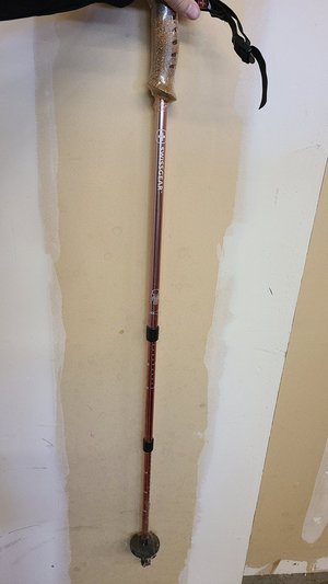 Photo of free Single Hiking/Trekking Pole (Reunion (104th and Tower Rd))