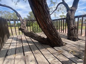 Photo of free Redwood tree platform- disassembled (Just north of Old Scottsdale)