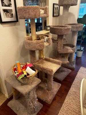 Photo of free Cat towers (used) (West central San Antonio 78228)