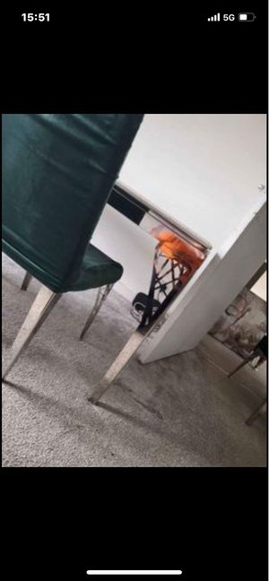 Photo of free dining table (Glasgow G13)