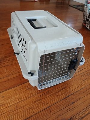 Photo of free Cat Carrier (Ball Square)