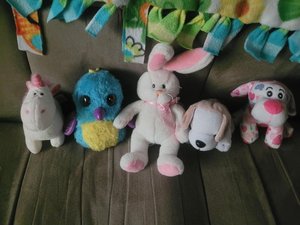 Photo of free Stuffed animals (Montclair)