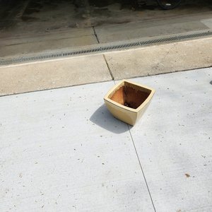 Photo of free Flower pot (11 and Drake)