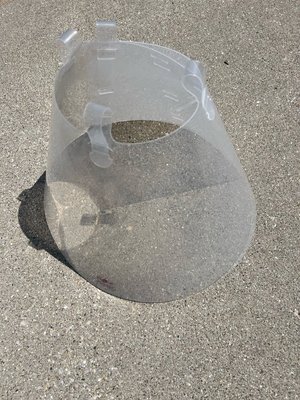 Photo of free Dog surgery collar thing (Rochester Hills)