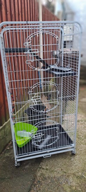 Photo of free Cage (Churchdown)