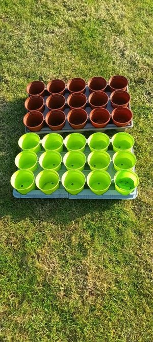 Photo of free 2 Trays Plant Pots (Oakwood, Derby)