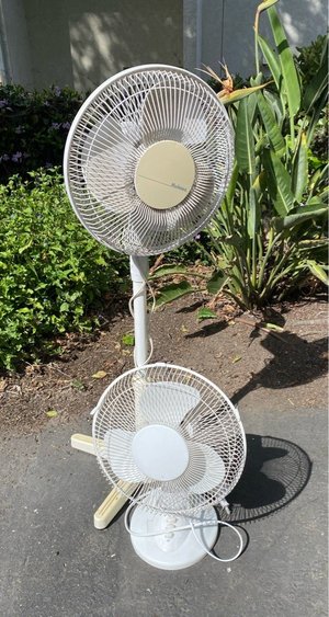 Photo of free Two fans (Ocean Beach)