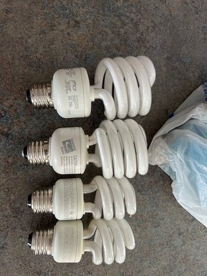 Photo of free Random light bulbs (Edwin & Southern Pines, VB)