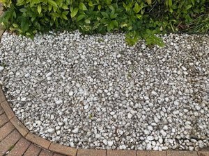 Photo of free Pebbles/Stones (windsor-maidenhead-freegle CGA SL6)