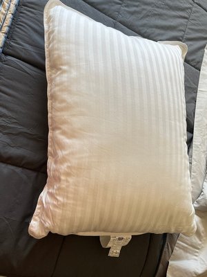 Photo of free plush pillow - great shape (downtown Edmonds)