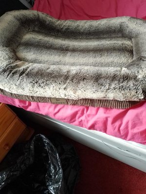 Photo of free Dog bed (The nook south shields)