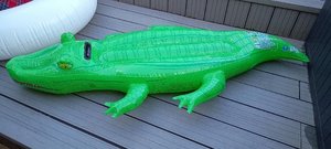 Photo of free Alligator inflatable (Chapeltown S35)