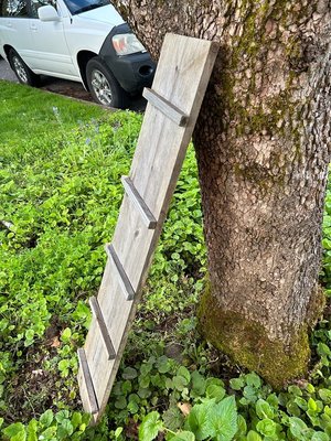 Photo of free Kitty or chicken ladder (NE Portland, Concordia)
