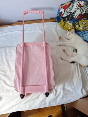 Photo of free Small pink suitcase with wheels (Northway OX3)