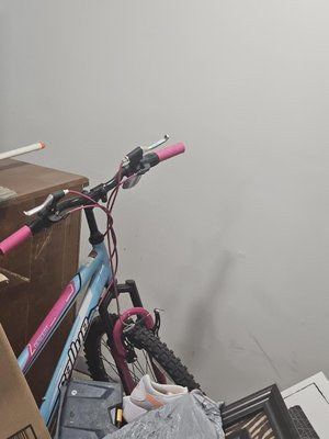 Photo of free 24in bike (Lansdowne)