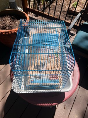 Photo of free Rodent cage and bag of bedding (East Como)