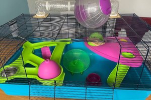 Photo of free Extra large hamster cage and accessories (Habergham BB12)