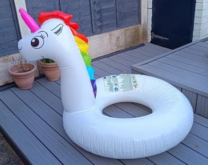 Photo of free Unicorn inflatable (Chapeltown S35)