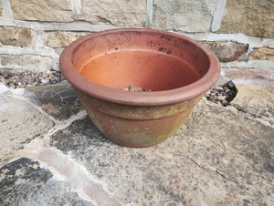 Photo of free Terracotta Planter (Dronfield Woodhouse.)