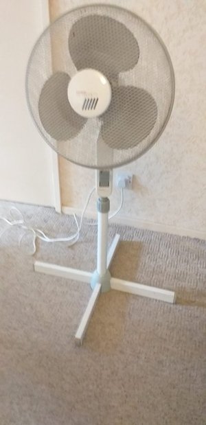 Photo of free Large Carlton Fan (Whitebushes RH1)