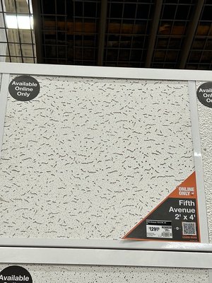 Photo of Ceiling tiles 2’x4’ - need 2-4 (L5L 5P5)
