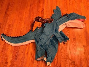 Photo of free Inflatable dinosaur costume (Haggerty and 7 mile)